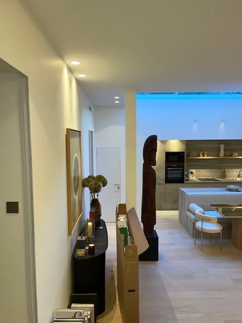 Royal Décoration - Rénovation complète d'un loft